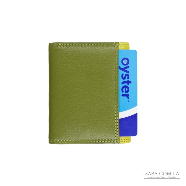 Кошелек женский Visconti RB126 Zanzibar (Lime Multi) Кошелек женский Visconti RB126 Zanzibar (Lime Multi)