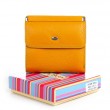 Гаманець Шкіряний Жіночий Rainbow DR. BOND WRS-33-1 yellow