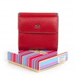Гаманець Шкіряний Жіночий Rainbow DR. BOND WRS-33-1 red