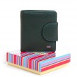 Гаманець Шкіряний Жіночий Rainbow DR. BOND WRS-415-1 green