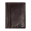 Картхолдер Ashwood 1290 VT Brown (Коричневий)