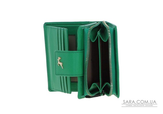 Кошелек женский Ashwood X30 (Green)