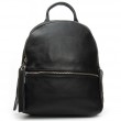 Сумка Шкіряна Жіноча Рюкзак ALEX RAI 95517-9 black